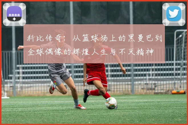 科比传奇：从篮球场上的黑曼巴到全球偶像的辉煌人生与不灭精神
