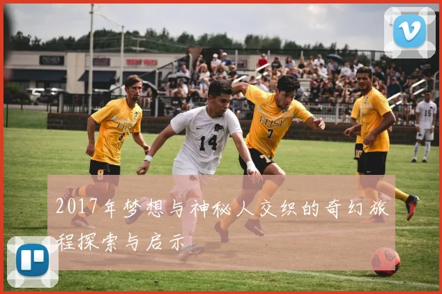 2017年梦想与神秘人交织的奇幻旅程探索与启示