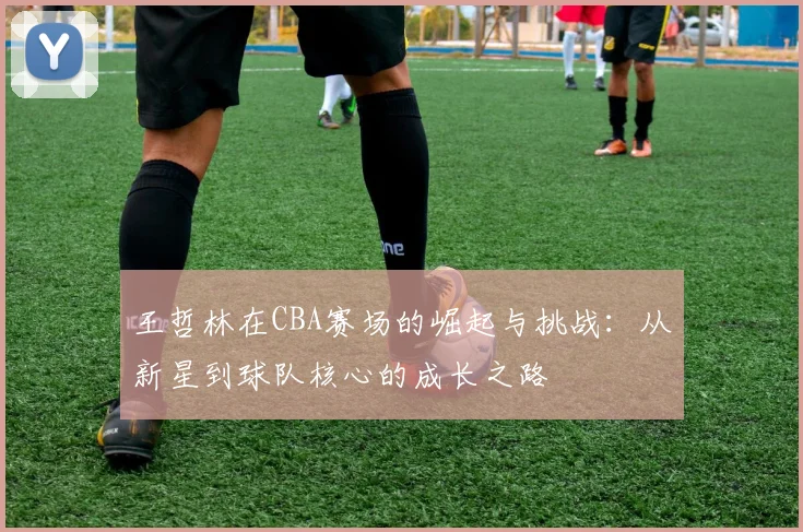 王哲林在CBA赛场的崛起与挑战：从新星到球队核心的成长之路