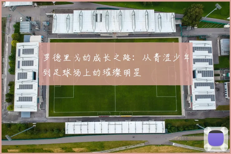 罗德里戈的成长之路：从青涩少年到足球场上的璀璨明星
