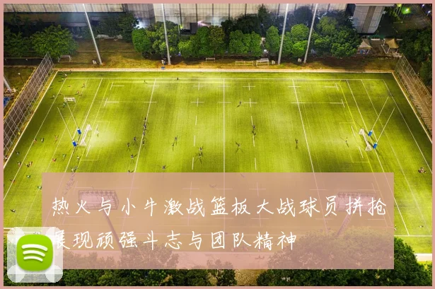 热火与小牛激战篮板大战球员拼抢展现顽强斗志与团队精神