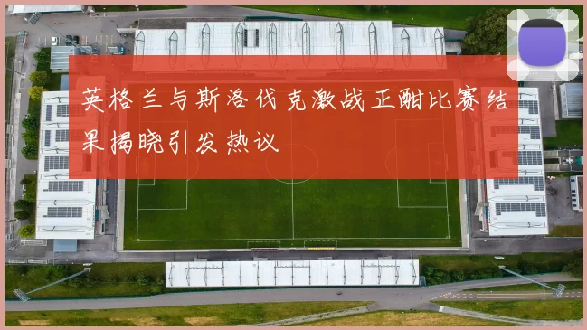 英格兰与斯洛伐克激战正酣比赛结果揭晓引发热议