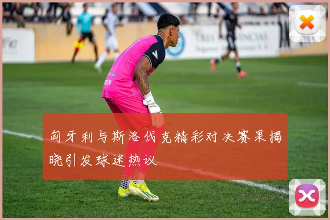 匈牙利与斯洛伐克精彩对决赛果揭晓引发球迷热议
