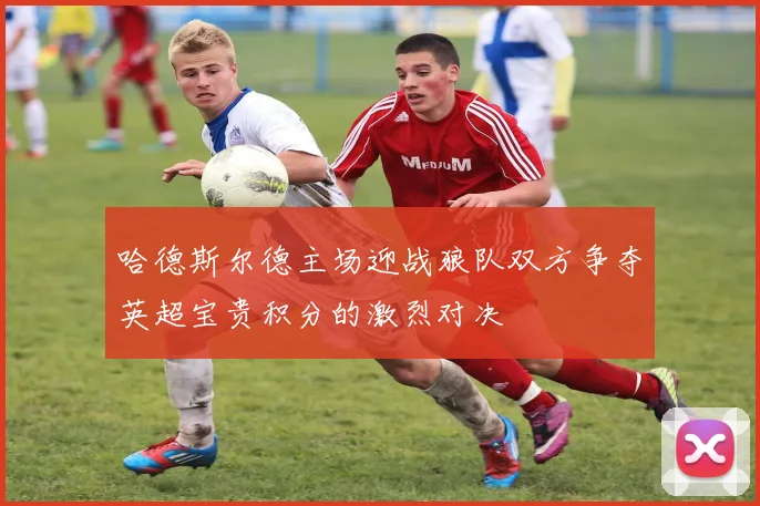 哈德斯尔德主场迎战狼队双方争夺英超宝贵积分的激烈对决